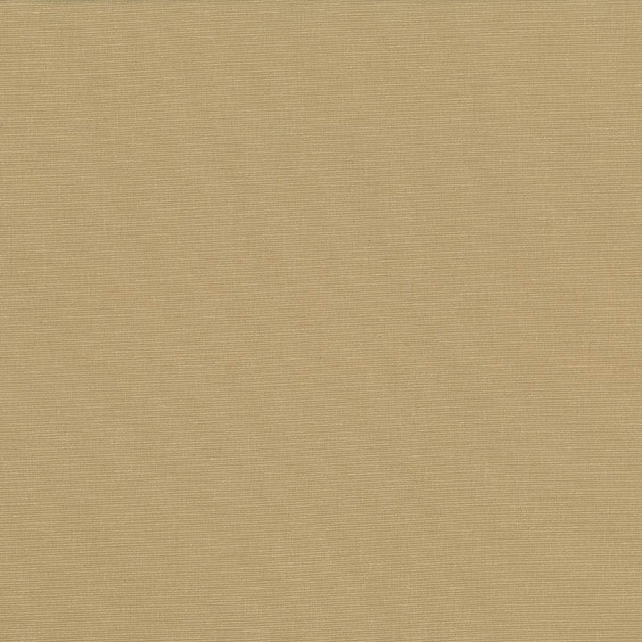 Pirouette Cashew by Kasmir Fabric 5054 100% Polyester
 INDIA </p><p>Repeat: Horizontal: N/A and Vertical: N/A 54 - 55 - Fabric Carolina -