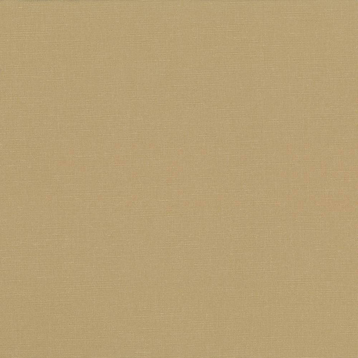 Pirouette Cashew by Kasmir Fabric 5054 INDIA 45,000 Wyzenbeek Double Rubs H: N/A, V:N/A 54 - 55 - Fabric Carolina - Kasmir