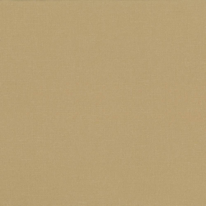 Pirouette Cashew by Kasmir Fabric 5054 100% Polyester INDIA 45,000 Wyzenbeek Double Rubs Horizontal: 0 Inches and Vertical: 0 Inches 54 - 55 - Fabric Carolina -