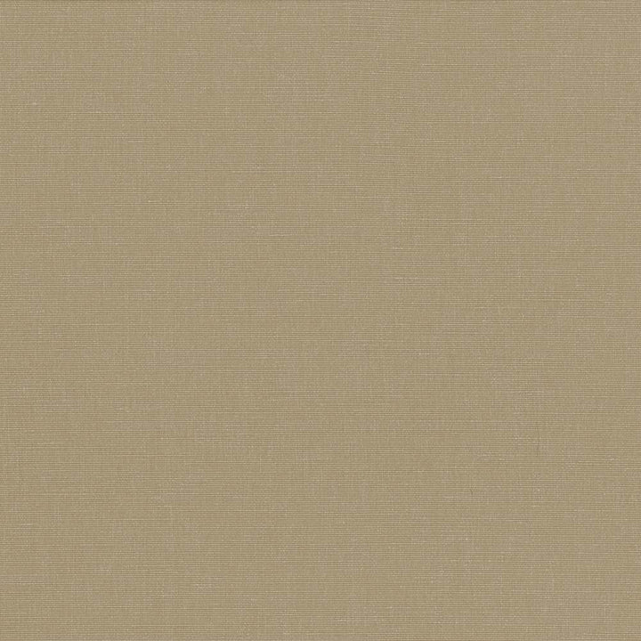 Pirouette Cement by Kasmir Fabric 5054 100% Polyester
 INDIA </p><p>Repeat: Horizontal: N/A and Vertical: N/A 54 - 55 - Fabric Carolina -