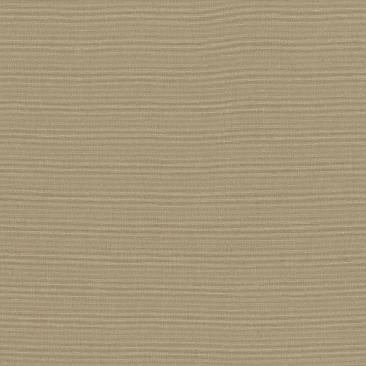 Pirouette Cement by Kasmir Fabric 5054 100% Polyester INDIA 45,000 Wyzenbeek Double Rubs Horizontal: 0 Inches and Vertical: 0 Inches 54 - 55 - Fabric Carolina -