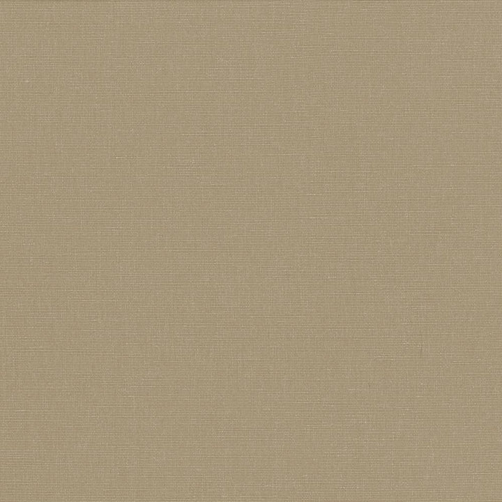 Pirouette Cement by Kasmir Fabric 5054 INDIA 45,000 Wyzenbeek Double Rubs H: N/A, V:N/A 54 - 55 - Fabric Carolina - Kasmir