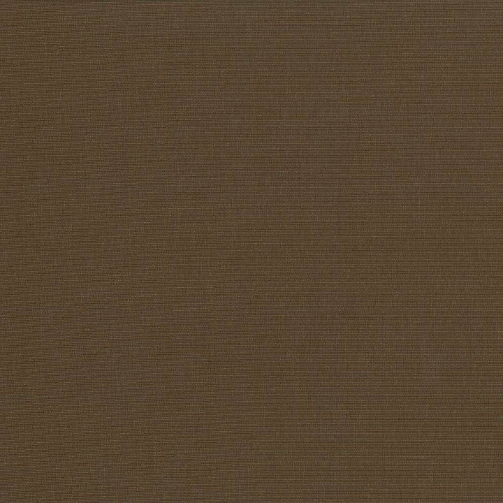 Pirouette Chocolate by Kasmir Fabric 5054 INDIA 45,000 Wyzenbeek Double Rubs H: N/A, V:N/A 54 - 55 - Fabric Carolina - Kasmir