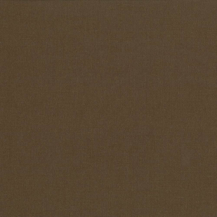 Pirouette Chocolate by Kasmir Fabric 5054 100% Polyester
 INDIA 45,000 Wyzenbeek Double Rubs </p><p>Repeat: Horizontal: N/A and Vertical: N/A 54 - Fabric Carolina -