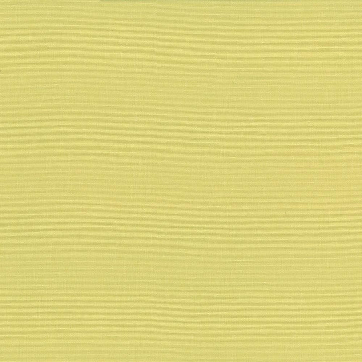 Pirouette Citrus by Kasmir Fabric 5054 100% Polyester
 INDIA 45,000 Wyzenbeek Double Rubs Horizontal: N/A and Vertical: N/A 54 - Fabric Carolina -