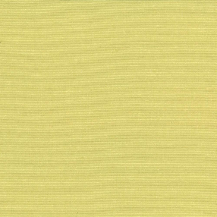 Pirouette Citrus by Kasmir Fabric 5054 100% Polyester
 INDIA </p><p>Repeat: Horizontal: N/A and Vertical: N/A 54 - 55 - Fabric Carolina -