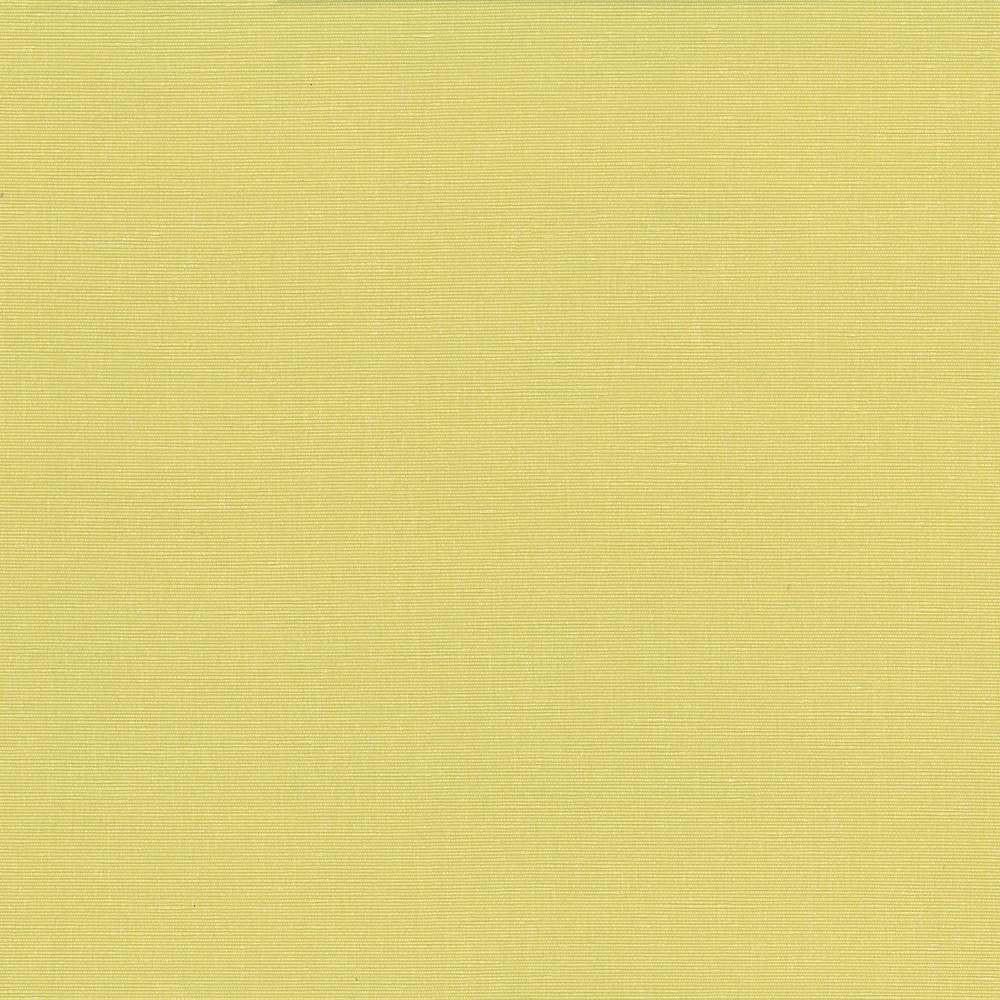 Pirouette Citrus by Kasmir Fabric 5054 INDIA 45,000 Wyzenbeek Double Rubs H: N/A, V:N/A 54 - 55 - Fabric Carolina - Kasmir
