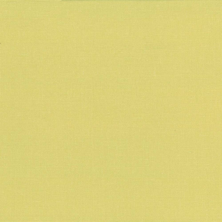 Pirouette Citrus by Kasmir Fabric 5054 INDIA 45,000 Wyzenbeek Double Rubs H: N/A, V:N/A 54 - 55 - Fabric Carolina - Kasmir