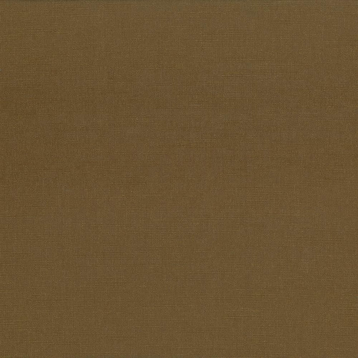 Pirouette Cocoa by Kasmir Fabric 5054 100% Polyester INDIA 45,000 Wyzenbeek Double Rubs Horizontal: 0 Inches and Vertical: 0 Inches 54 - 55 - Fabric Carolina -