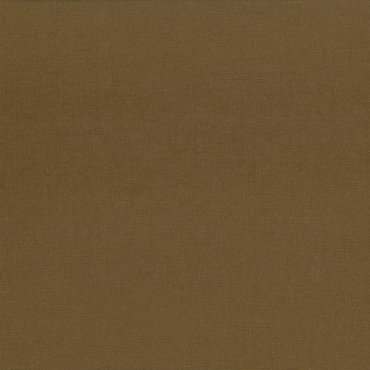 Pirouette Cocoa by Kasmir Fabric 5054 100% Polyester
 INDIA </p><p>Repeat: Horizontal: N/A and Vertical: N/A 54 - 55 - Fabric Carolina -