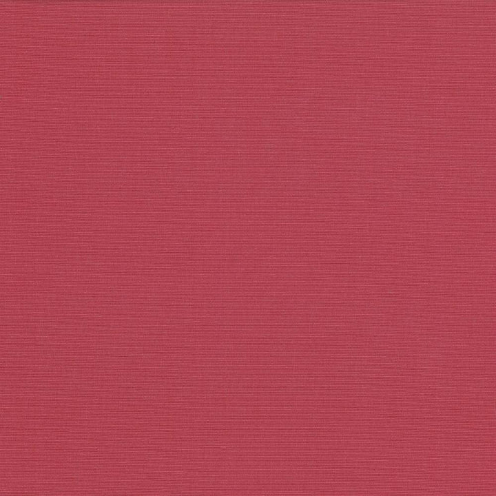 Pirouette Coral by Kasmir Fabric 5054 INDIA 45,000 Wyzenbeek Double Rubs H: N/A, V:N/A 54 - 55 - Fabric Carolina - Kasmir