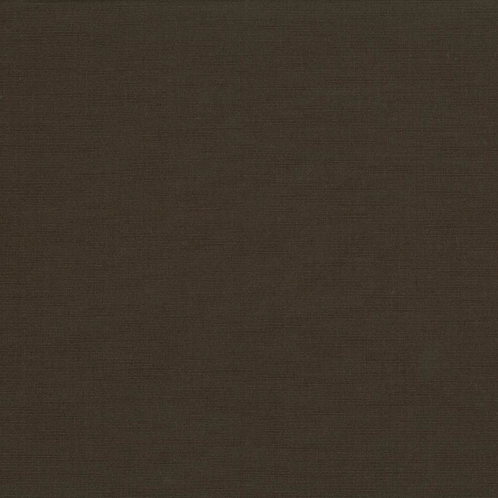 Pirouette Fudge by Kasmir Fabric 5054 100% Polyester
 INDIA </p><p>Repeat: Horizontal: N/A and Vertical: N/A 54 - 55 - Fabric Carolina -