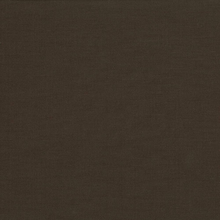 Pirouette Fudge by Kasmir Fabric 5054 INDIA 45,000 Wyzenbeek Double Rubs H: N/A, V:N/A 54 - 55 - Fabric Carolina - Kasmir
