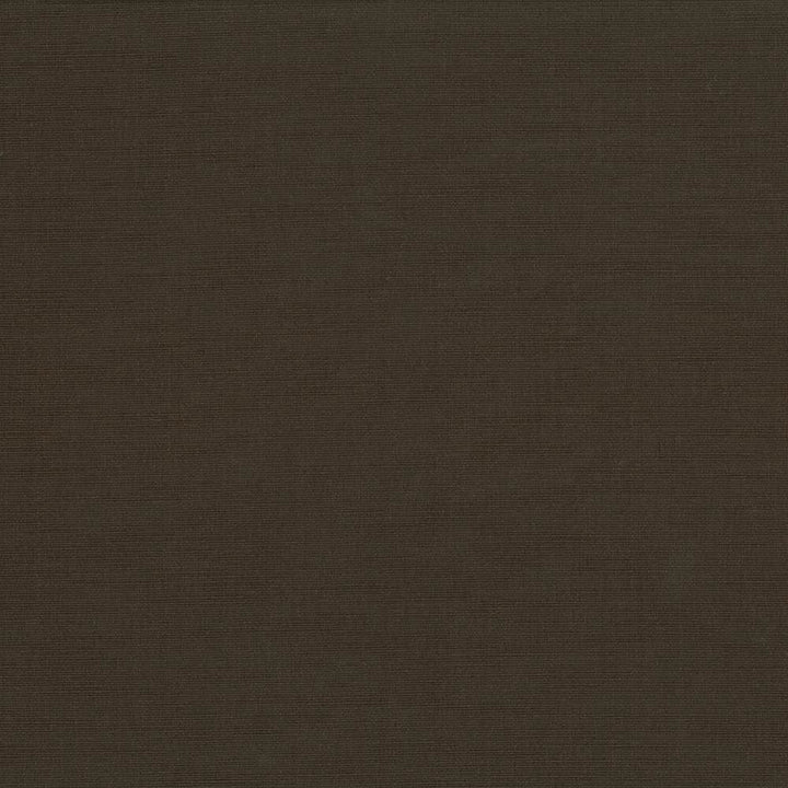 Pirouette Fudge by Kasmir Fabric 5054 100% Polyester
 INDIA </p><p>Repeat: Horizontal: N/A and Vertical: N/A 54 - 55 - Fabric Carolina -