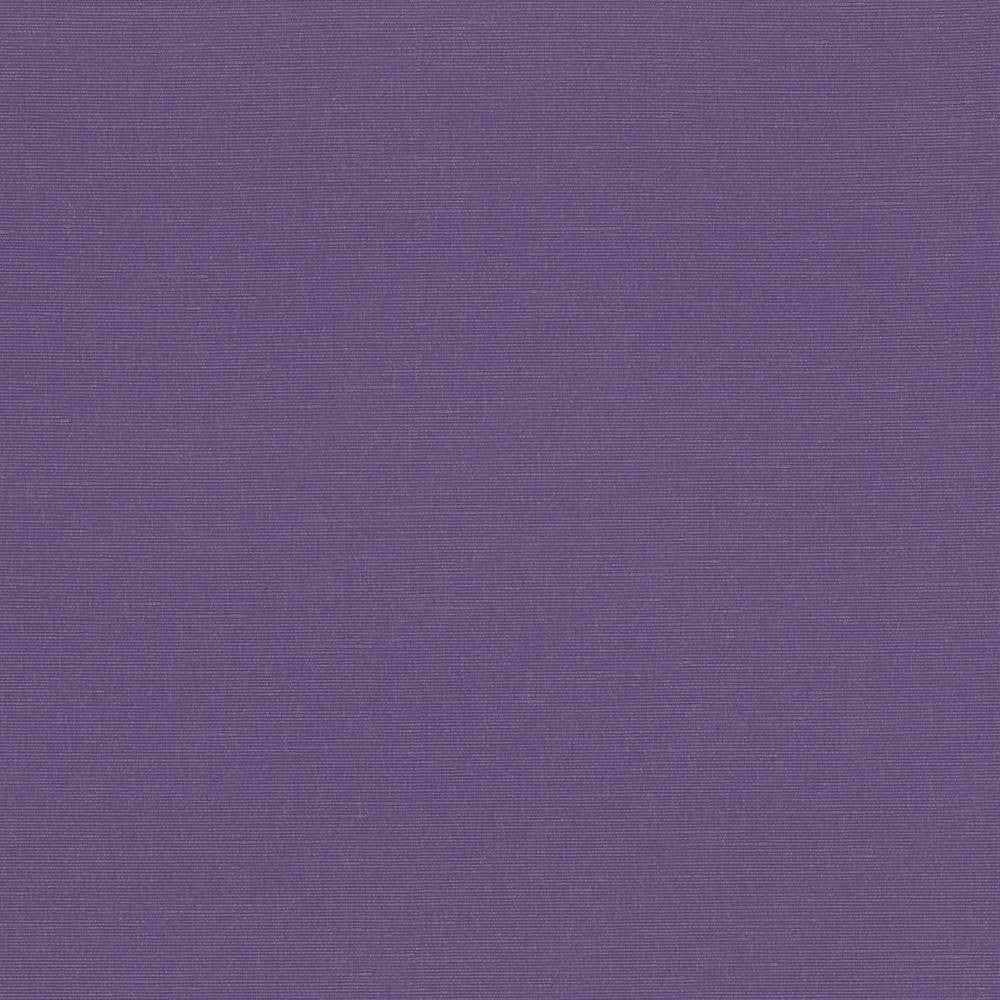 Pirouette Grape by Kasmir Fabric 5054 INDIA 45,000 Wyzenbeek Double Rubs H: N/A, V:N/A 54 - 55 - Fabric Carolina - Kasmir