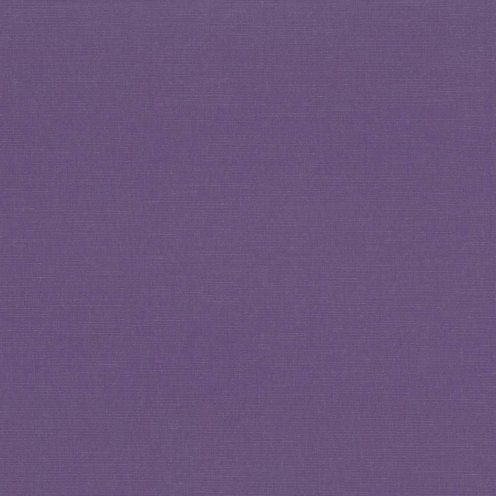 Pirouette Grape by Kasmir Fabric 5054 100% Polyester
 INDIA 45,000 Wyzenbeek Double Rubs </p><p>Repeat: Horizontal: N/A and Vertical: N/A 54 - Fabric Carolina -