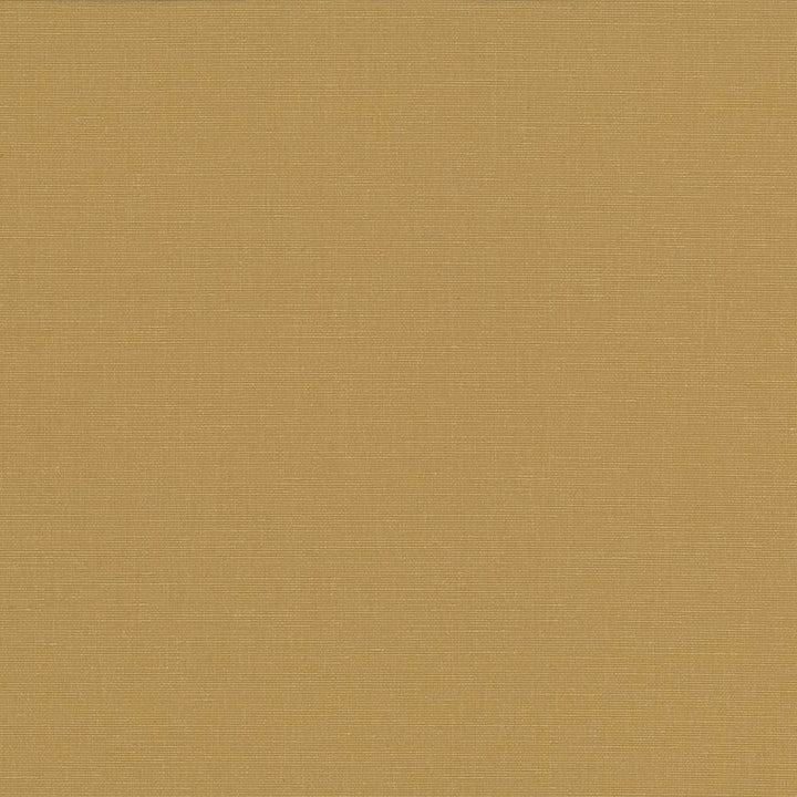 Pirouette Honey by Kasmir Fabric 5054 100% Polyester INDIA 45,000 Wyzenbeek Double Rubs Horizontal: 0 Inches and Vertical: 0 Inches 54 - 55 - Fabric Carolina -