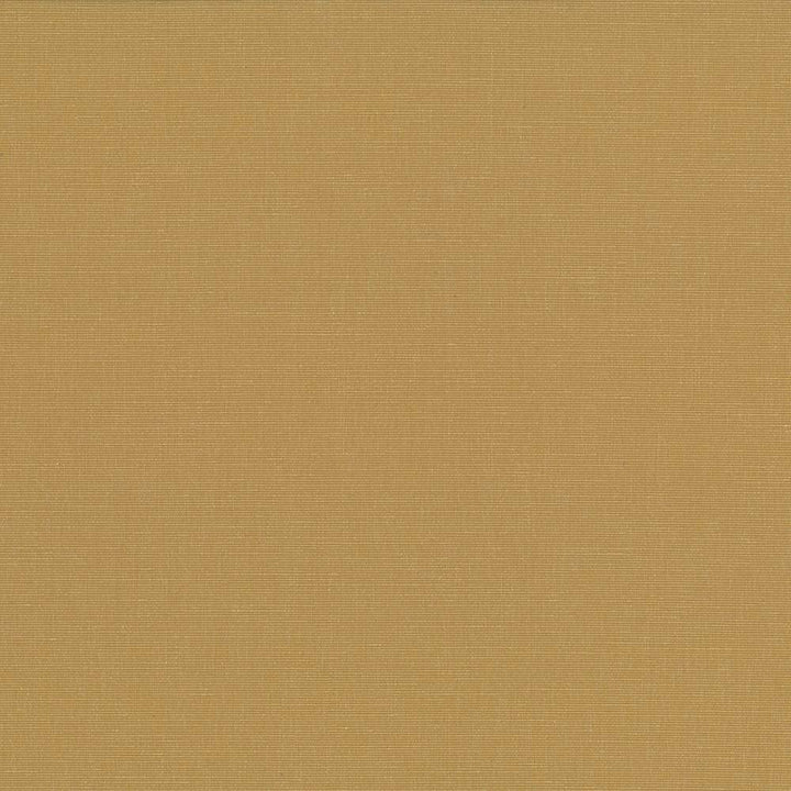 Pirouette Honey by Kasmir Fabric 5054 INDIA 45,000 Wyzenbeek Double Rubs H: N/A, V:N/A 54 - 55 - Fabric Carolina - Kasmir