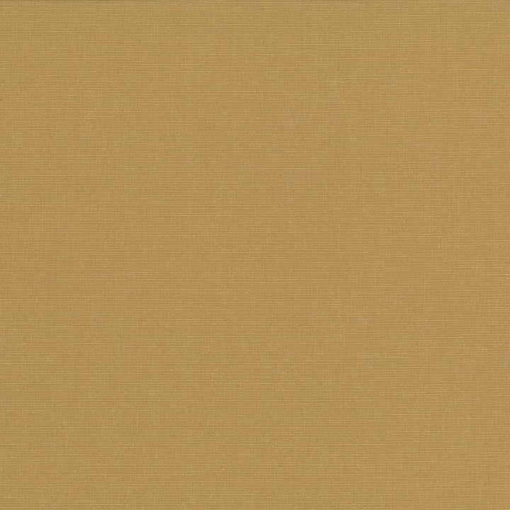 Pirouette Honey by Kasmir Fabric 5054 100% Polyester
 INDIA </p><p>Repeat: Horizontal: N/A and Vertical: N/A 54 - 55 - Fabric Carolina -