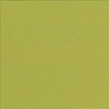 Pirouette Lime by Kasmir Fabric 5054 100% Polyester INDIA 45,000 Wyzenbeek Double Rubs H: N/A, V: N/A 54 - 55 - Fabric Carolina - Kasmir