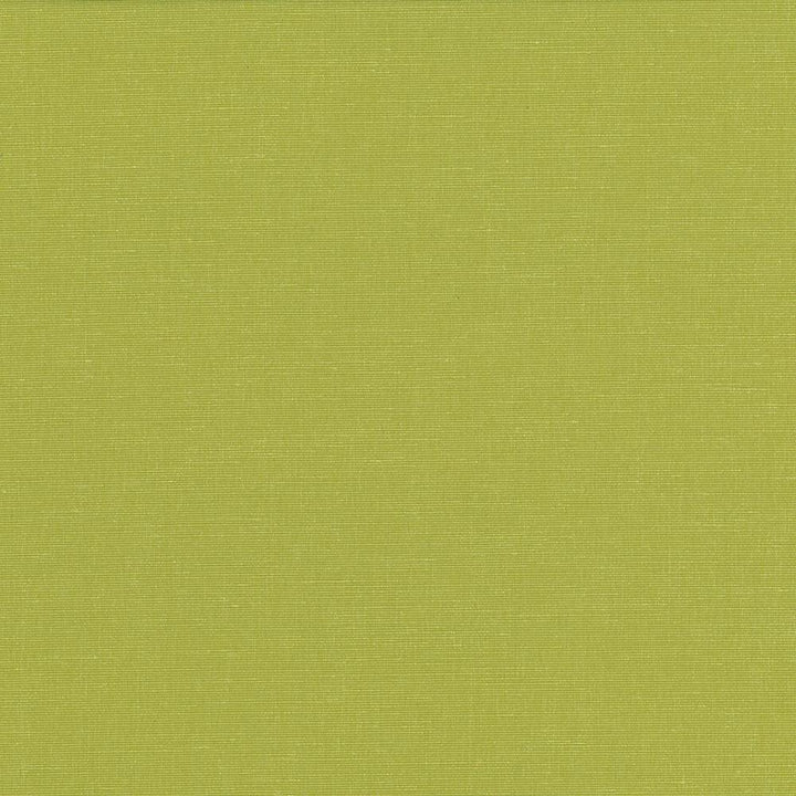 Pirouette Lime by Kasmir Fabric 5054 100% Polyester
 INDIA </p><p>Repeat: Horizontal: N/A and Vertical: N/A 54 - 55 - Fabric Carolina -