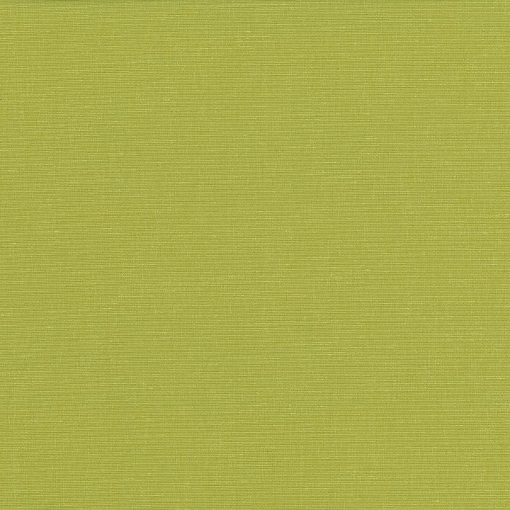 Pirouette Lime by Kasmir Fabric 5054 100% Polyester INDIA 45,000 Wyzenbeek Double Rubs Horizontal: 0 Inches and Vertical: 0 Inches 54 - 55 - Fabric Carolina -