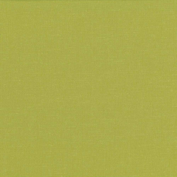 Pirouette Lime by Kasmir Fabric 5054 INDIA 45,000 Wyzenbeek Double Rubs H: N/A, V:N/A 54 - 55 - Fabric Carolina - Kasmir