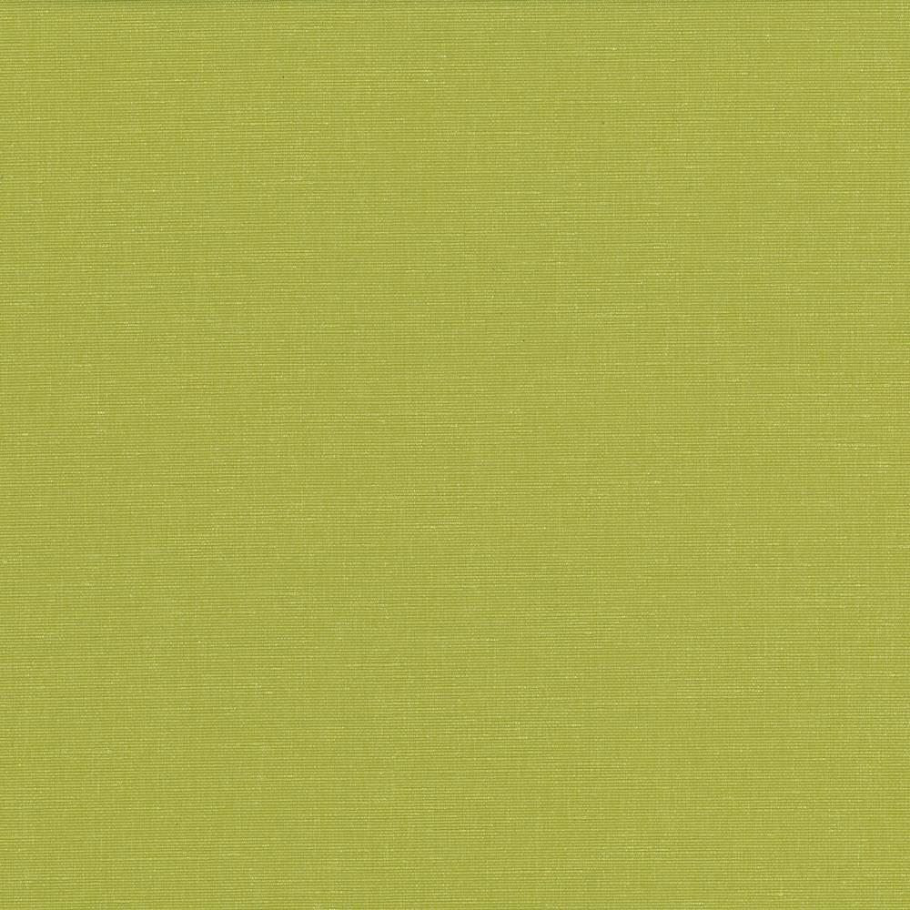 Pirouette Lime by Kasmir Fabric 5054 100% Polyester
 INDIA 45,000 Wyzenbeek Double Rubs </p><p>Repeat: Horizontal: N/A and Vertical: N/A 54 - Fabric Carolina -