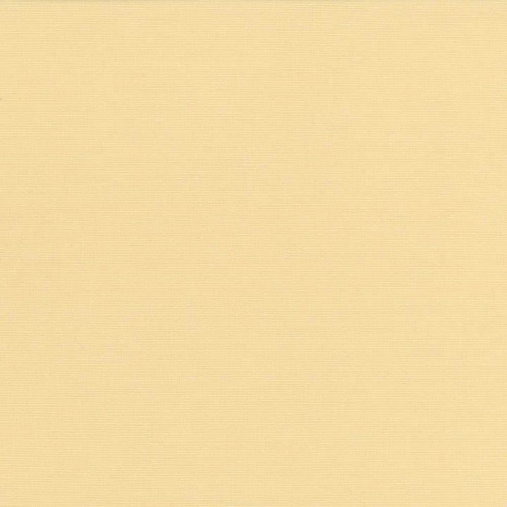 Pirouette Maize by Kasmir Fabric 5054 100% Polyester
 INDIA 45,000 Wyzenbeek Double Rubs </p><p>Repeat: Horizontal: N/A and Vertical: N/A 54 - Fabric Carolina -