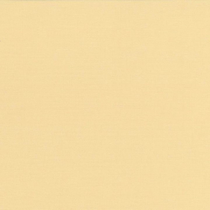 Pirouette Maize by Kasmir Fabric 5054 100% Polyester
 INDIA </p><p>Repeat: Horizontal: N/A and Vertical: N/A 54 - 55 - Fabric Carolina -