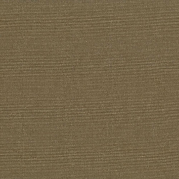 Pirouette Olive  by Kasmir Fabric See sample 100% Polyester
 INDIA 45,000 Wyzenbeek Double Rubs </p><p>Repeat: Horizontal: N/A and Vertical: N/A 54  - Fabric Carolina -