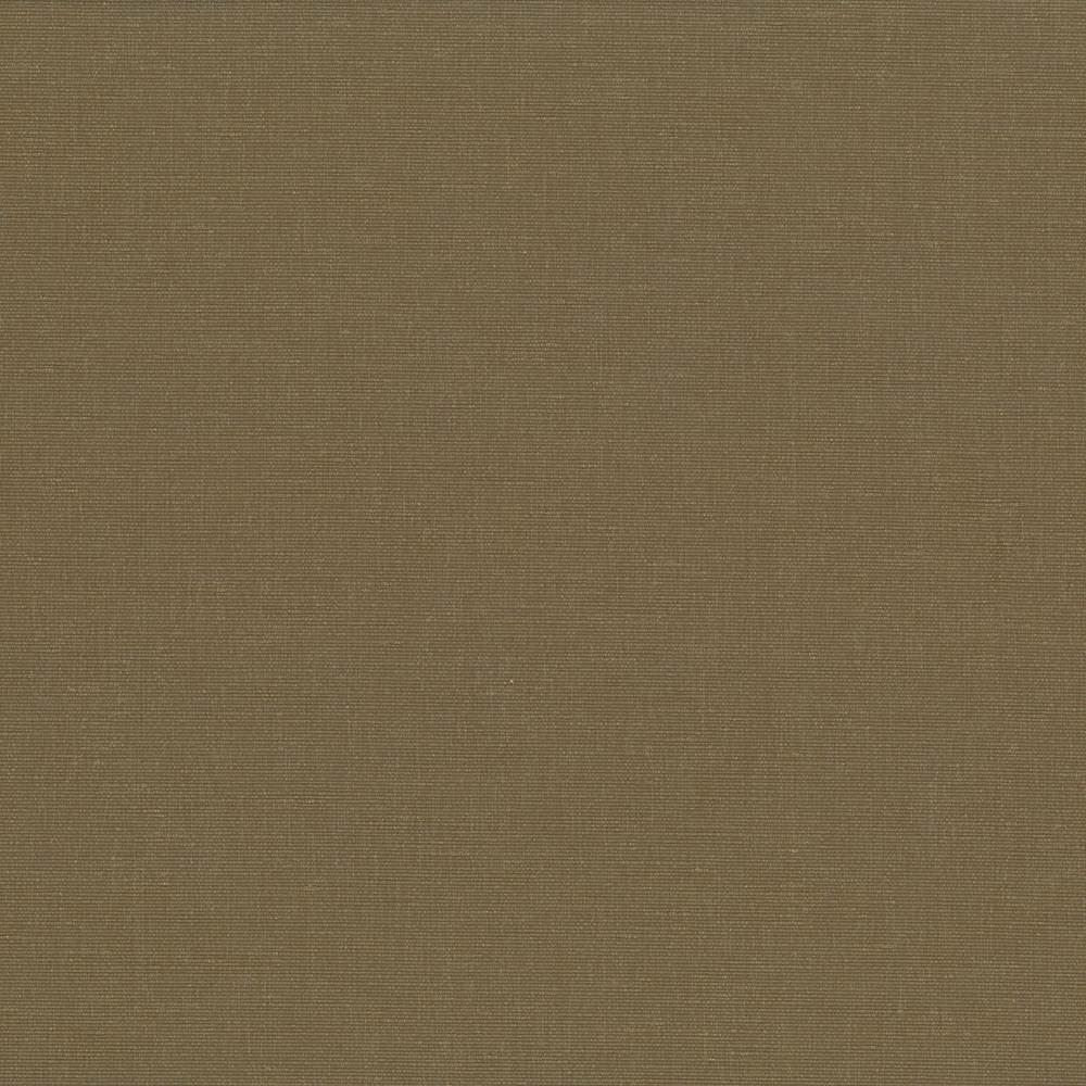 Pirouette Olive by Kasmir Fabric 5054 100% Polyester
 INDIA </p><p>Repeat: Horizontal: N/A and Vertical: N/A 54 - 55 - Fabric Carolina -