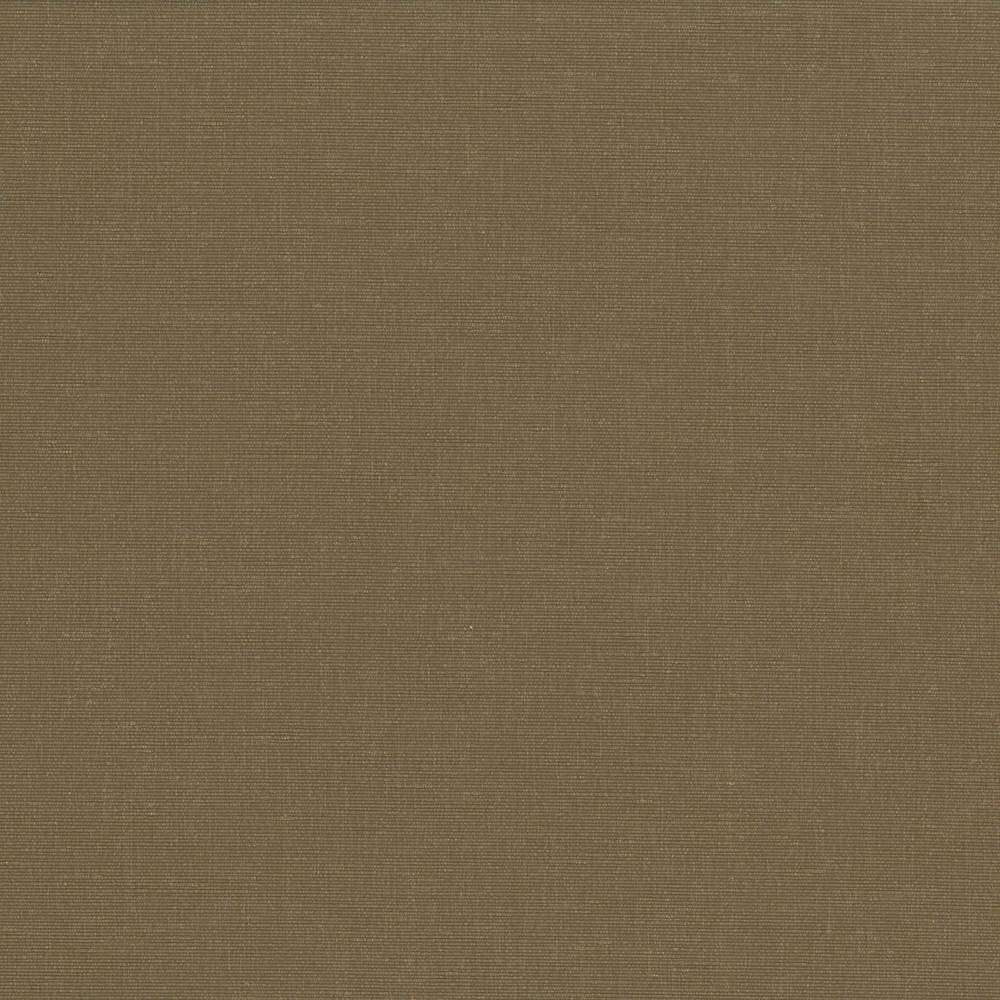 Pirouette Olive by Kasmir Fabric 5054 100% Polyester
 INDIA </p><p>Repeat: Horizontal: N/A and Vertical: N/A 54 - 55 - Fabric Carolina -