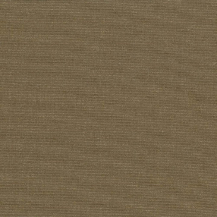 Pirouette Olive by Kasmir Fabric 5054 100% Polyester
 INDIA </p><p>Repeat: Horizontal: N/A and Vertical: N/A 54 - 55 - Fabric Carolina -