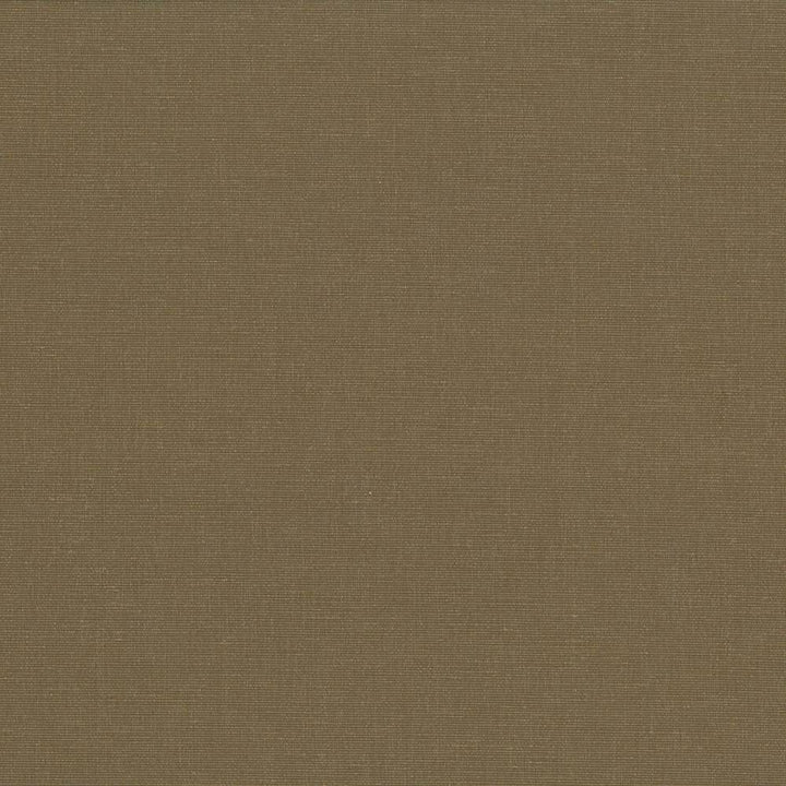 Pirouette Olive by Kasmir Fabric 5054 INDIA 45,000 Wyzenbeek Double Rubs H: N/A, V:N/A 54 - 55 - Fabric Carolina - Kasmir
