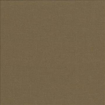 Pirouette Olive by Kasmir Fabric 5054 100% Polyester INDIA 45,000 Wyzenbeek Double Rubs H: N/A, V: N/A 54 - 55 - Fabric Carolina - Kasmir