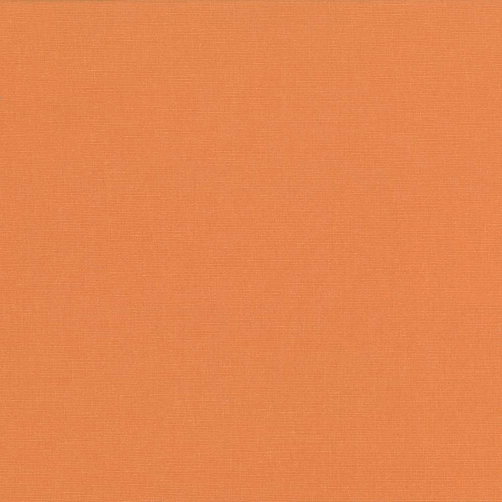 Pirouette Orange by Kasmir Fabric 5054 INDIA 45,000 Wyzenbeek Double Rubs H: N/A, V:N/A 54 - 55 - Fabric Carolina - Kasmir