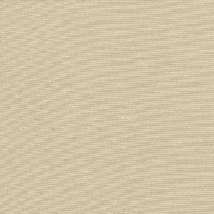Pirouette Stone  by Kasmir Fabric See sample 100% Polyester
 INDIA 45,000 Wyzenbeek Double Rubs </p><p>Repeat: Horizontal: N/A and Vertical: N/A 54  - Fabric Carolina -