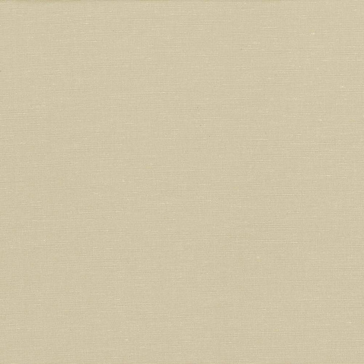 Pirouette Stone by Kasmir Fabric 5054 INDIA 45,000 Wyzenbeek Double Rubs H: N/A, V:N/A 54 - 55 - Fabric Carolina - Kasmir