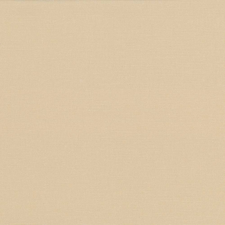 Pirouette Straw by Kasmir Fabric 5054 INDIA 45,000 Wyzenbeek Double Rubs H: N/A, V:N/A 54 - 55 - Fabric Carolina - Kasmir