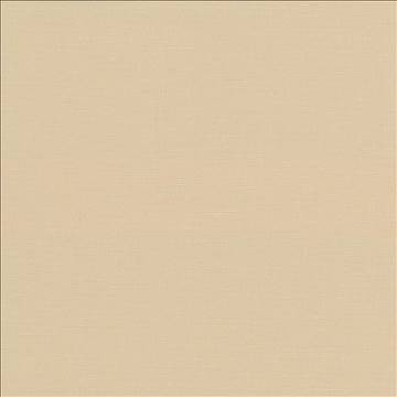 Pirouette Straw by Kasmir Fabric 5054 100% Polyester INDIA 45,000 Wyzenbeek Double Rubs H: N/A, V: N/A 54 - 55 - Fabric Carolina - Kasmir