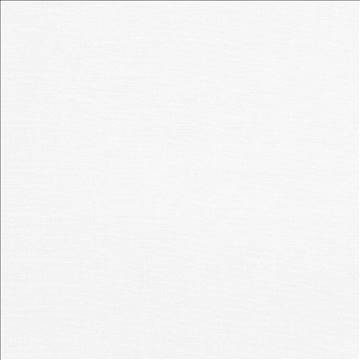 Pirouette White by Kasmir Fabric 5054 100% Polyester INDIA 45,000 Wyzenbeek Double Rubs H: N/A, V: N/A 54 - 55 - Fabric Carolina - Kasmir