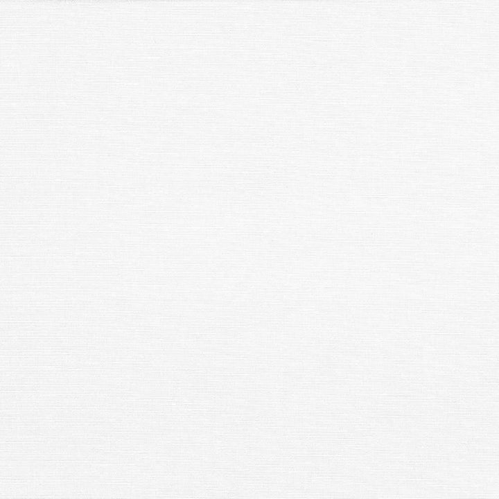 Pirouette White  by Kasmir Fabric See sample 100% Polyester
 INDIA 45,000 Wyzenbeek Double Rubs </p><p>Repeat: Horizontal: N/A and Vertical: N/A 54  - Fabric Carolina -