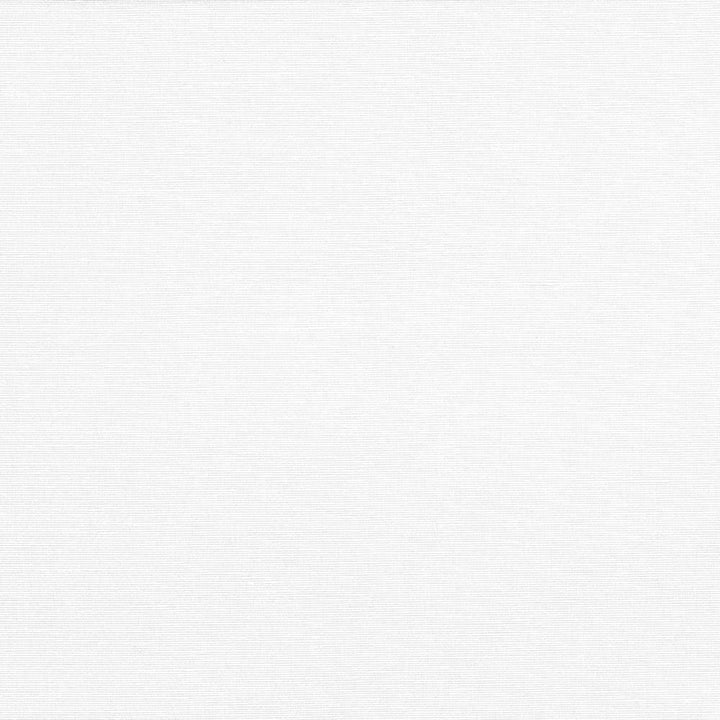Pirouette White by Kasmir Fabric 5054 INDIA 45,000 Wyzenbeek Double Rubs H: N/A, V:N/A 54 - 55 - Fabric Carolina - Kasmir