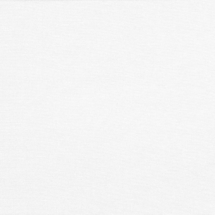 Pirouette White by Kasmir Fabric 5054 100% Polyester
 INDIA </p><p>Repeat: Horizontal: N/A and Vertical: N/A 54 - 55 - Fabric Carolina -