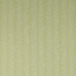 Pitty Pat Lime 5524211004 by Carole Fabric Exclusive