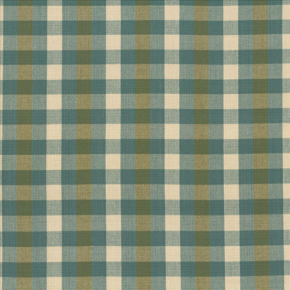 Pixie Plaid Basil  by Kasmir Fabric See sample 100% Cotton
 INDIA 6,000 Wyzenbeek Double Rubs </p><p>Repeat: Horizontal: 4 inches and Vertical: 2 inches 54  - Fabric Carolina -