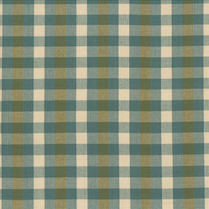 Pixie Plaid Basil  by Kasmir Fabric See sample 100% Cotton
 INDIA 6,000 Wyzenbeek Double Rubs </p><p>Repeat: Horizontal: 4 inches and Vertical: 2 inches 54  - Fabric Carolina -