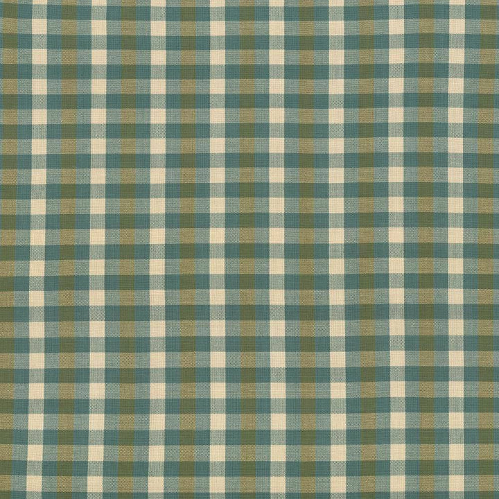 Pixie Plaid Basil by Kasmir Fabric 5090 INDIA 6,000 Wyzenbeek Double Rubs H: 4 inches, V:2 inches 54 - Fabric Carolina - Kasmir