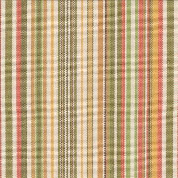 Pixie Stripe Olivette by Kasmir Fabric 1386 100% Cotton USA 15,000 Wyzenbeek Double Rubs H: 5 2/8 inches, V: N/A 54 - 58 - Fabric Carolina - Kasmir